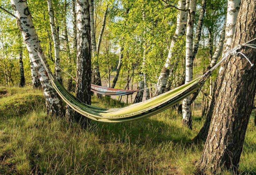 Четырехместный Номер Стандарт, żurawi Jar