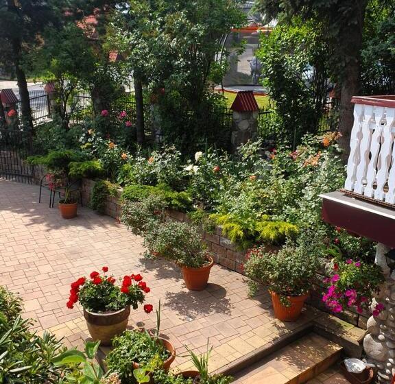 Номер Стандарт, Willa Irys