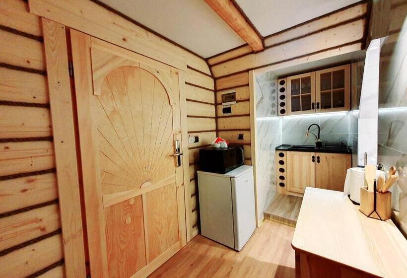 带1个卧室的高级公寓, Eco Villa Grand Karpatia Ski&spa