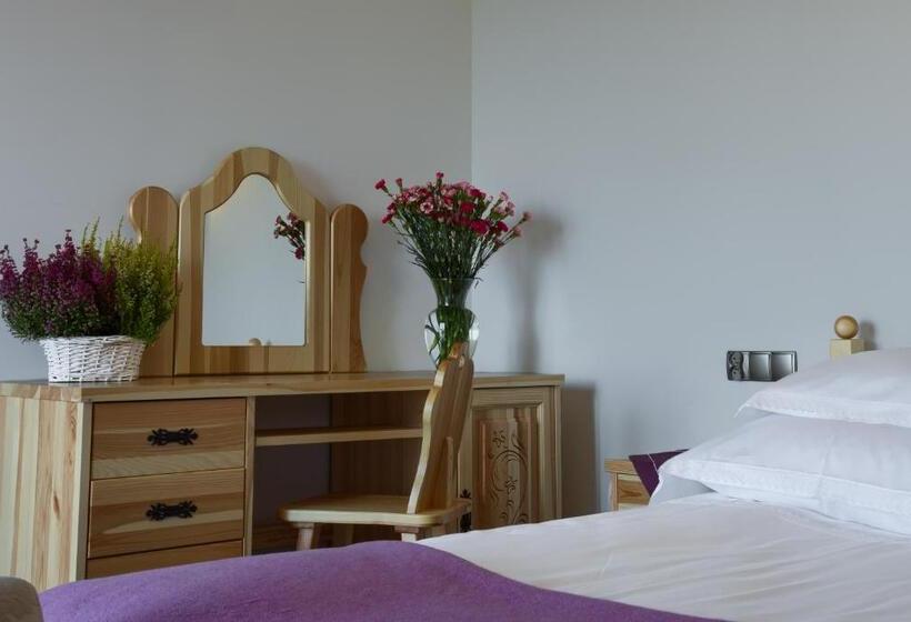 带1个卧室的高级公寓, Eco Villa Grand Karpatia Ski&spa