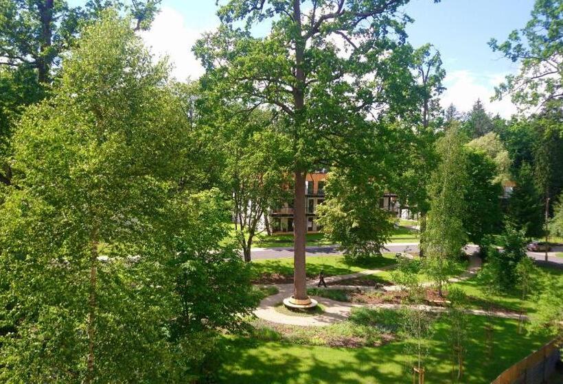 スタンダードスタジオ, Enklawa Białowieska Forest & Spa