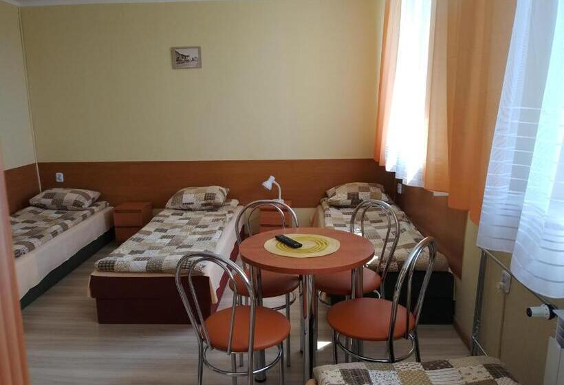 חדר סטנדרט לארבעה, Dom Turysty Salus