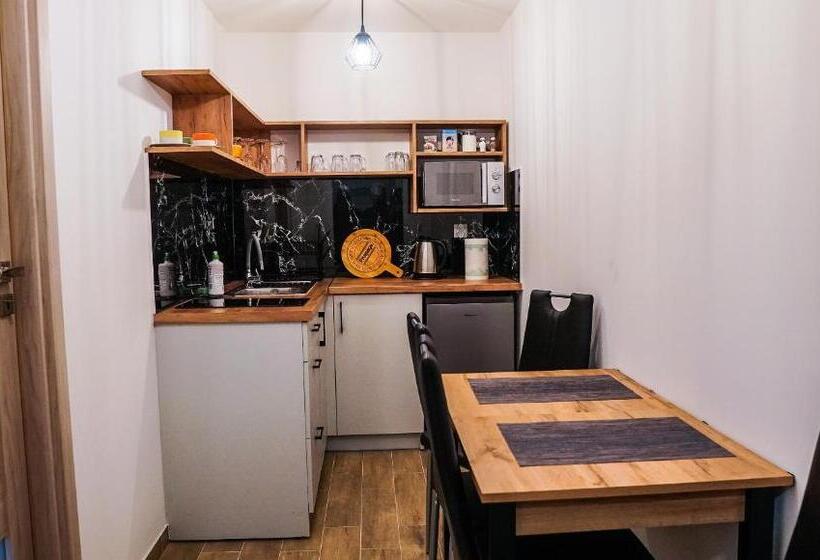 דירת שני חדרים, Dom Turysty Salus