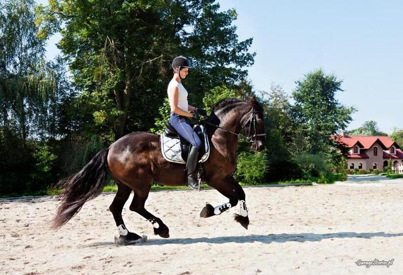 בית, 4 חדרי שינה, Pensjonat Enklawa