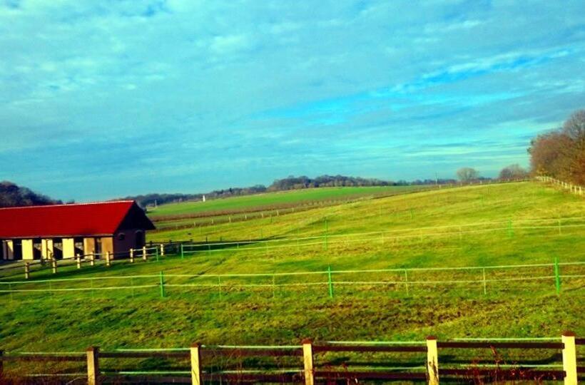 בית, 2 חדרי שינה, Pensjonat Enklawa