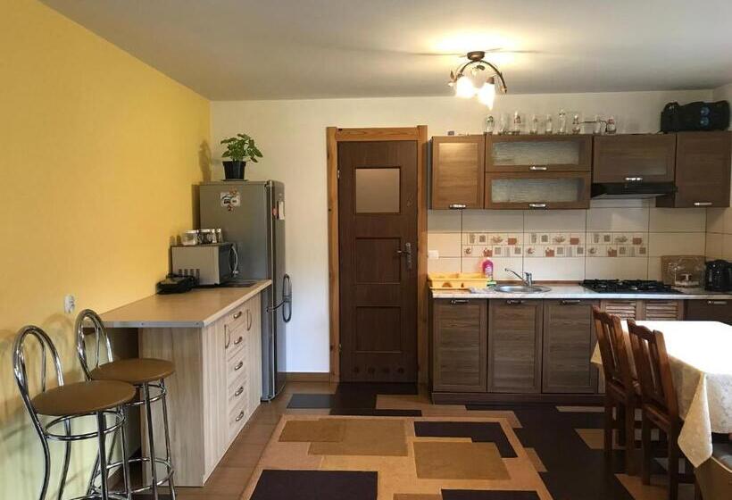 Апартаменты 1 Спальня с Видом, U Bartków