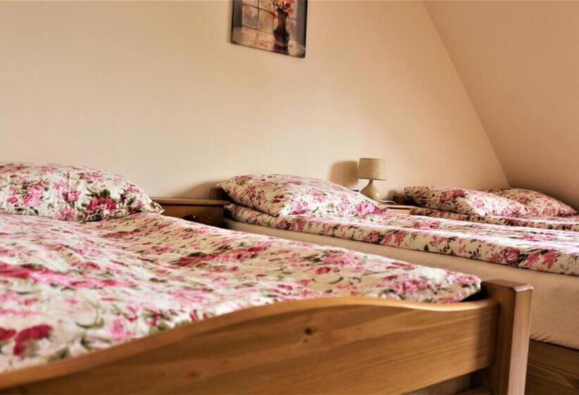 חדר סטנדרט לארבעה, Willa Wyrostek