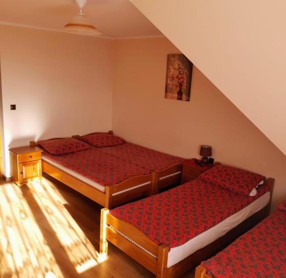 חדר סטנדרט לארבעה, Willa Wyrostek