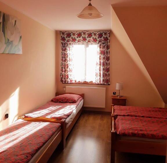 חדר סטנדרט לארבעה, Willa Wyrostek