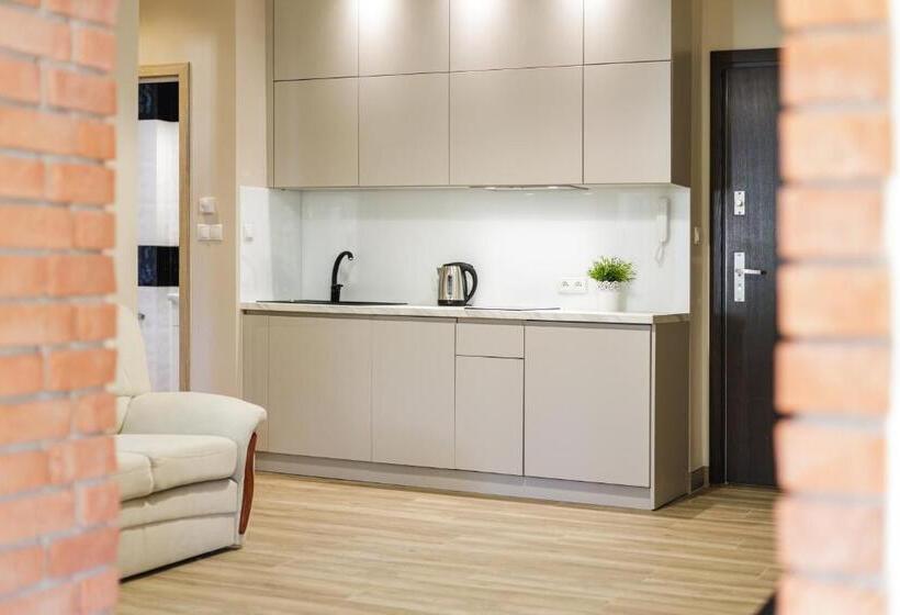 شقة غرفة واحدة, Mountain Apartments Jagiellońska Residence