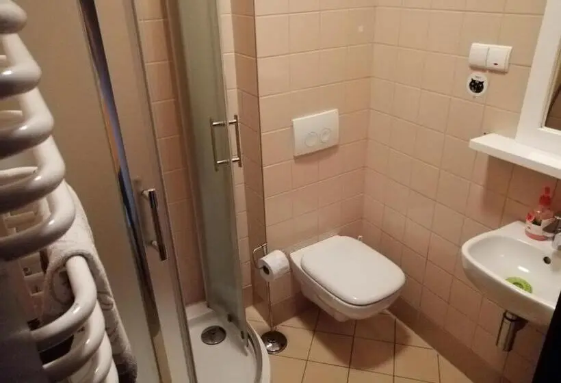 Standard Kolmen Hengen Huone, Pensjonat Trojak