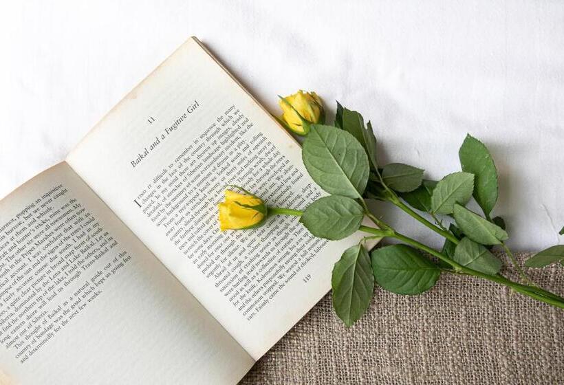 Standaardkamer met Uitzicht op Zee, Seaways