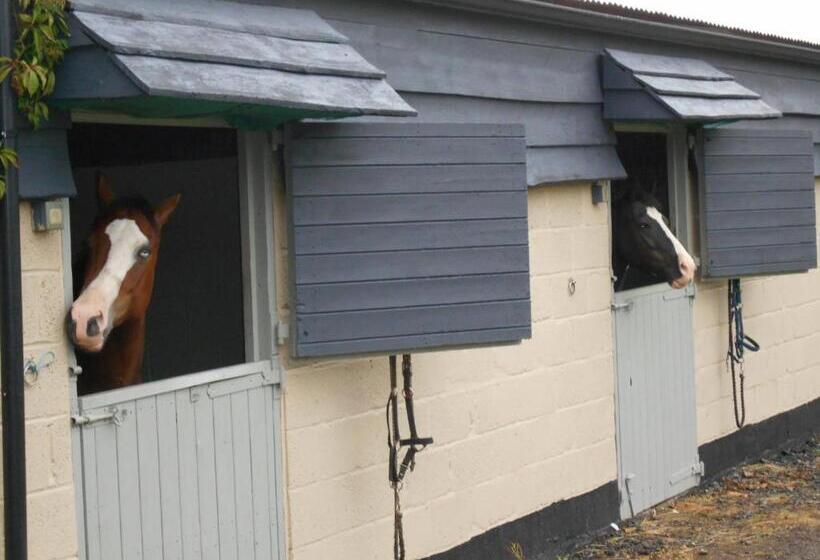 이코노미 룸, The Stables Deer Park Farm