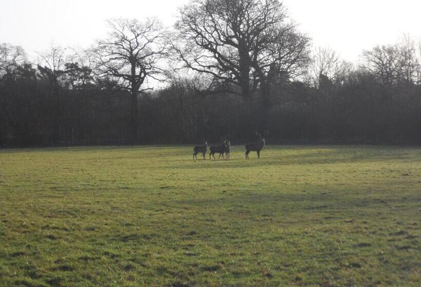 Номер Economy, The Stables   Deer Park Farm