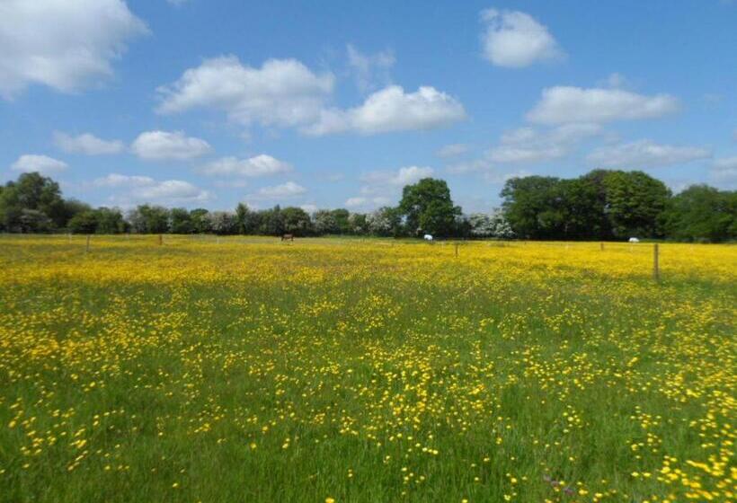 이코노미 룸, The Stables Deer Park Farm