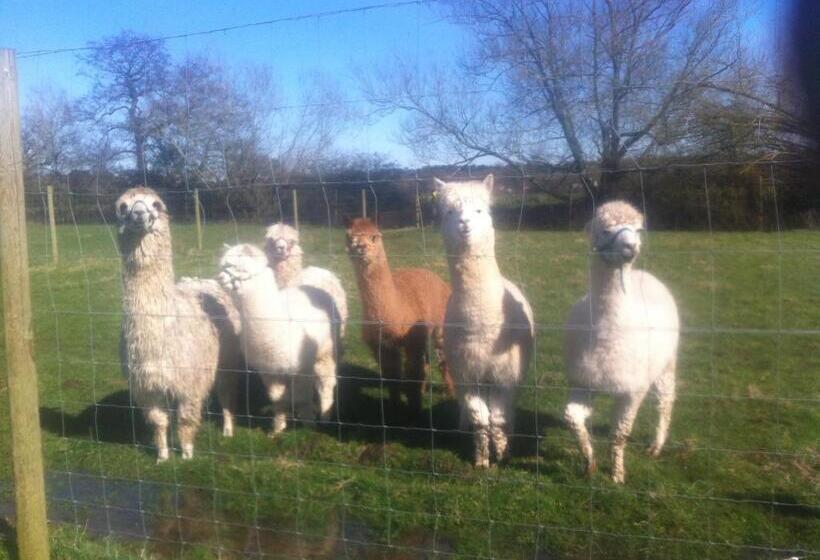 1 베드룸 수피리어 스위트, The Stables Deer Park Farm