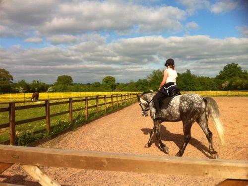 Шале 1 Спальня, The Stables   Deer Park Farm