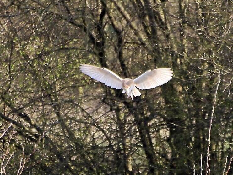 이코노미 룸, The Stables Deer Park Farm