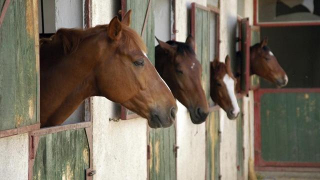 Шале Superior 1 Спальня, The Stables   Deer Park Farm