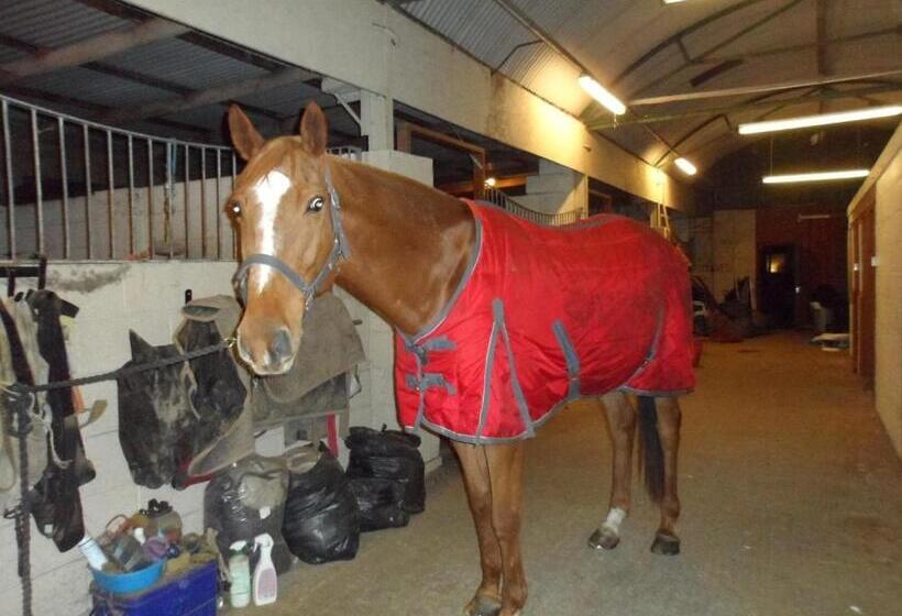 샬레, The Stables Deer Park Farm