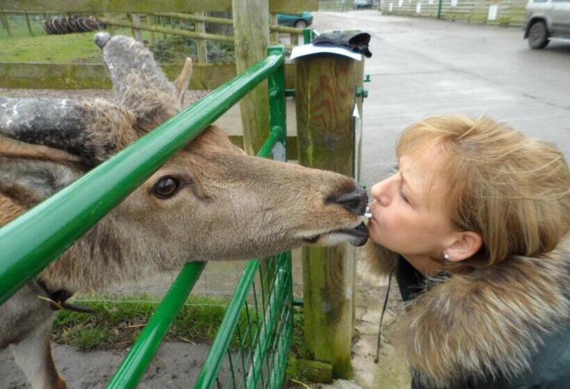 샬레, The Stables Deer Park Farm