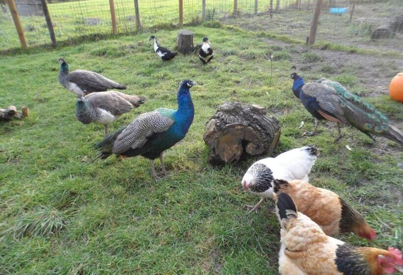 이코노미 룸, The Stables Deer Park Farm