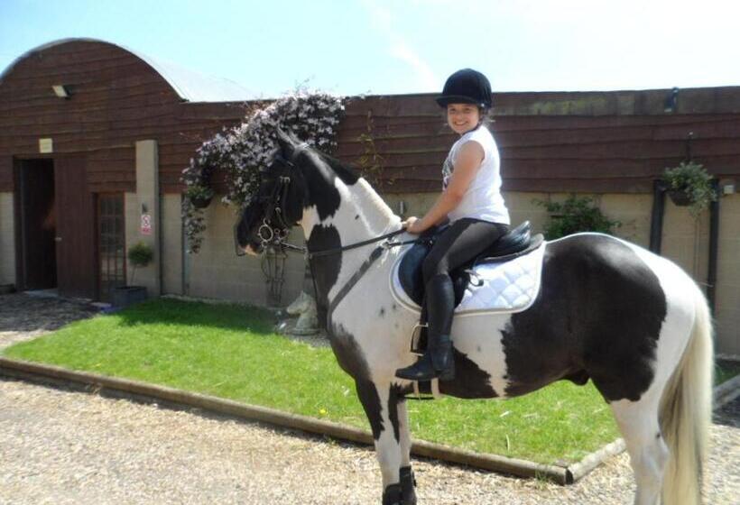 샬레, The Stables Deer Park Farm