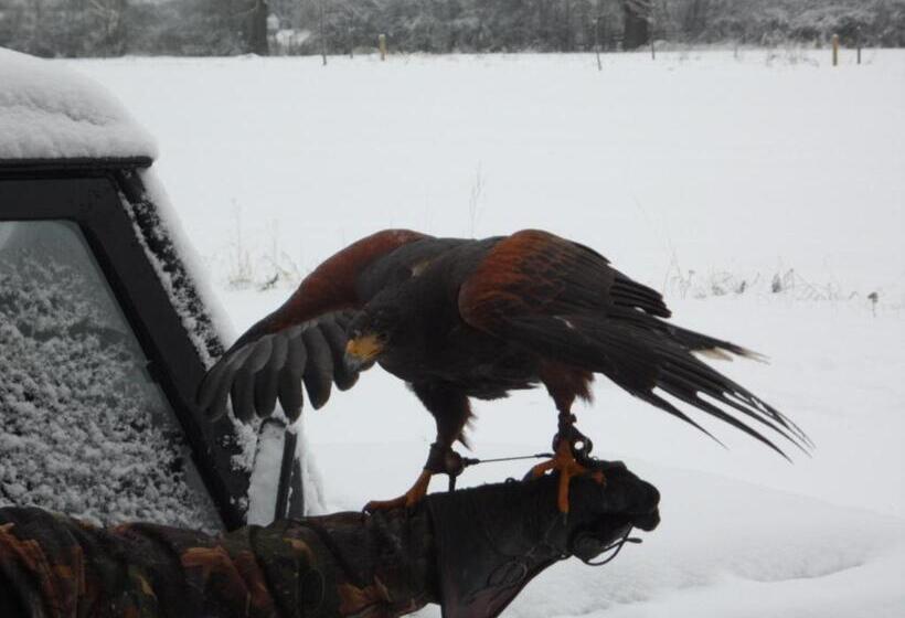 샬레, The Stables Deer Park Farm