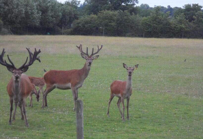 샬레, The Stables Deer Park Farm