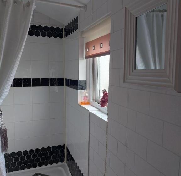 חדר סטנדרט יחיד, Broadlea Of Robgill Country Cottage & Bed And Breakfast