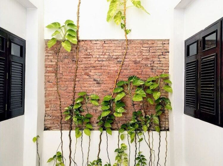 اتاق لوکس با تخت بزرگ, La Terraza De San Juan