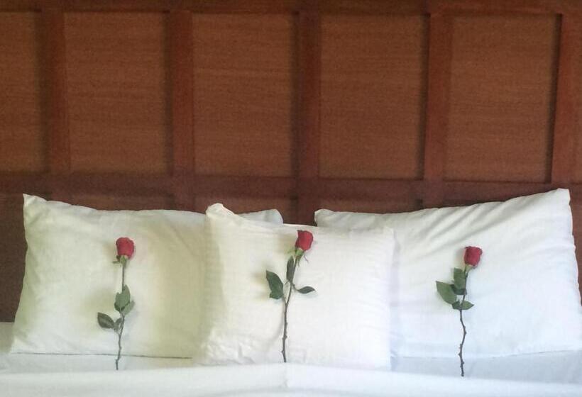 اتاق استاندارد با تخت بزرگ, Sabas Beach Resort