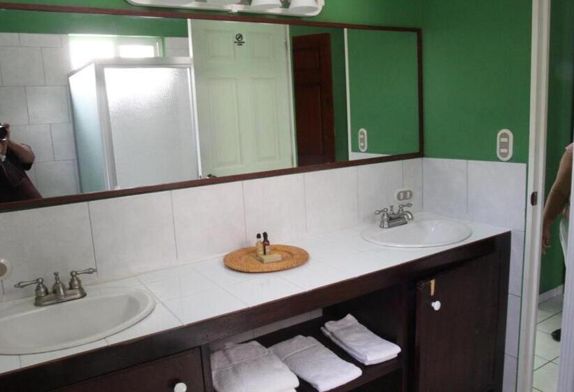 اتاق استاندارد با چشم‌انداز استخر, Sabas Beach Resort