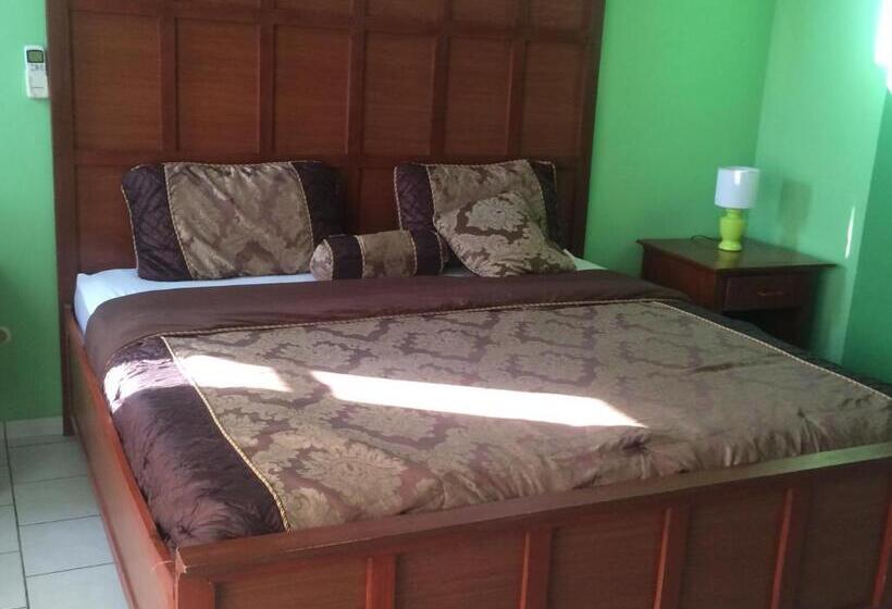 اتاق استاندارد با تخت بزرگ, Sabas Beach Resort