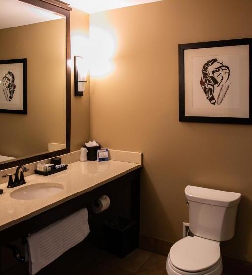 غرفة قياسية سرير كينج, Swinomish Casino & Lodge