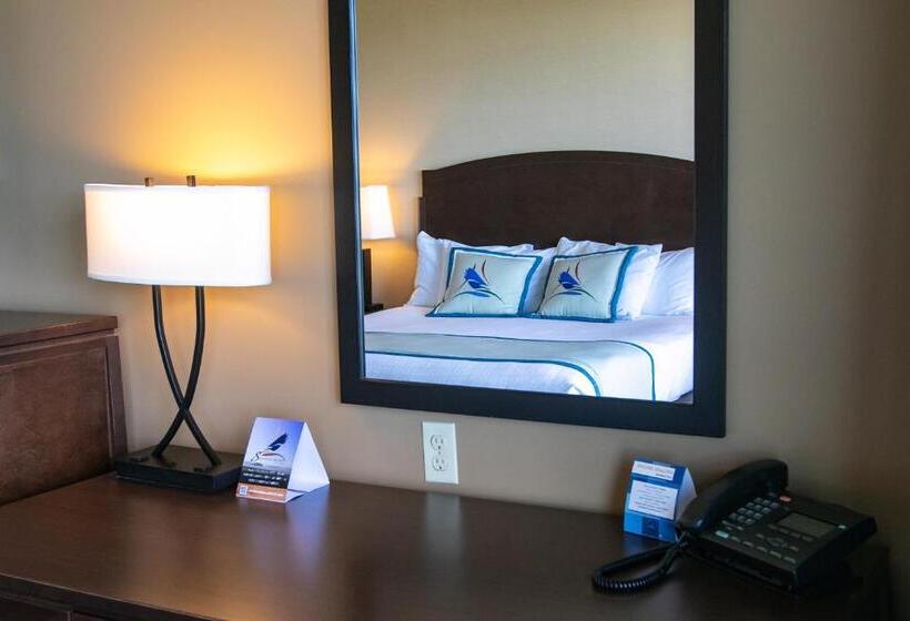 غرفة قياسية سرير كينج, Swinomish Casino & Lodge