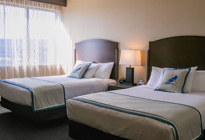 غرفه قياسيه سريرين مزدوجين, Swinomish Casino & Lodge