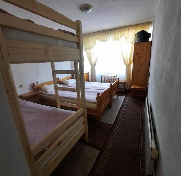 Четырехместный Номер Стандарт, Guest House Zodiac