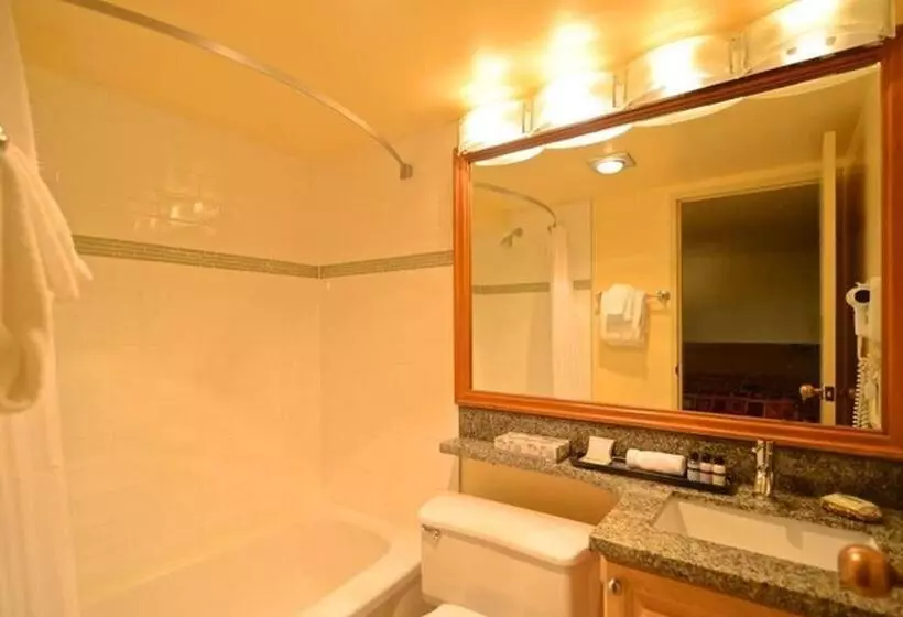 屋根裏部屋風スタンダードルーム, Mountain Side Hotel Whistler By Executive