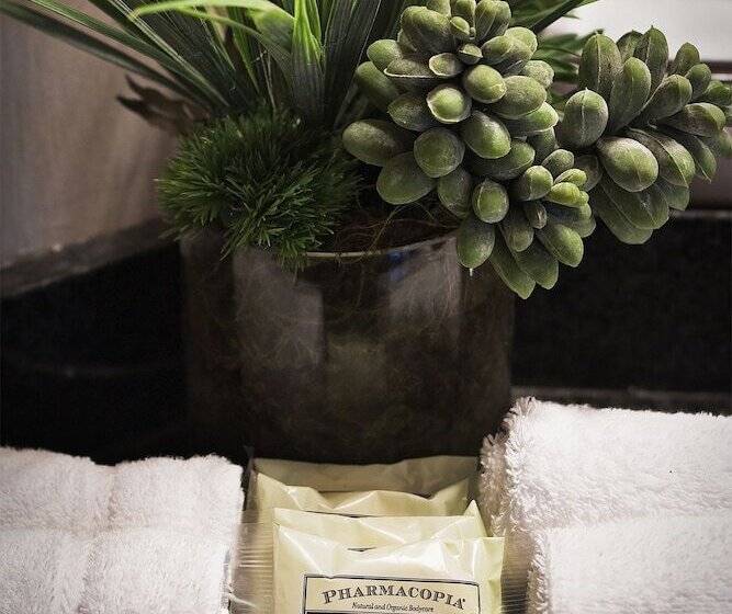 Студия Стандарт, Mountain Side Hotel Whistler By Executive