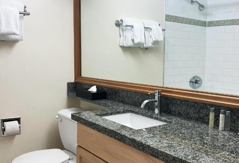 Студия Стандарт, Mountain Side Hotel Whistler By Executive