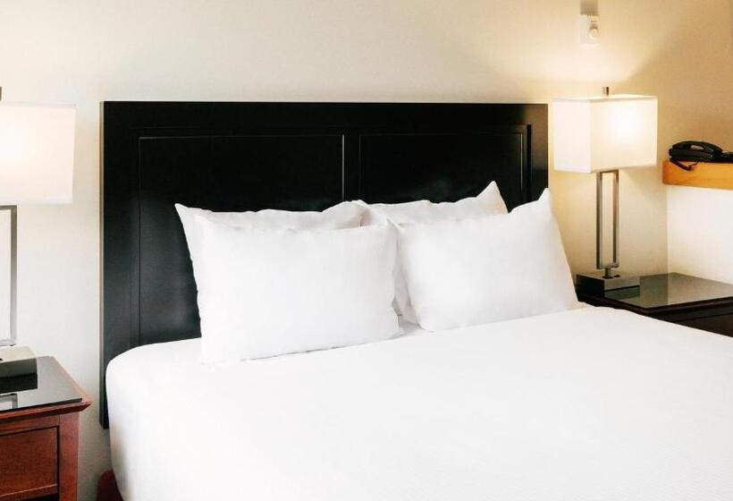 Студия Стандарт, Mountain Side Hotel Whistler By Executive
