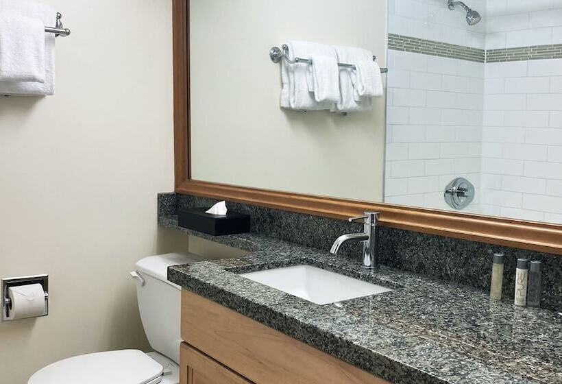 Студия Стандарт, Mountain Side Hotel Whistler By Executive