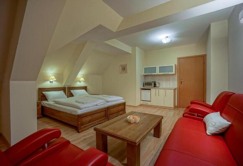 סטודיו סטנדרט עם מרפסת, Jawor