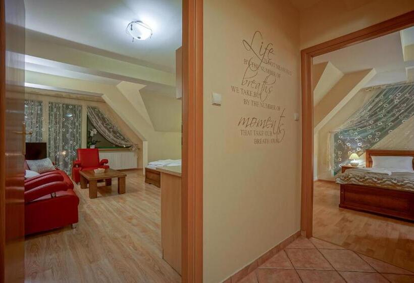 סטודיו סטנדרט עם מרפסת, Jawor