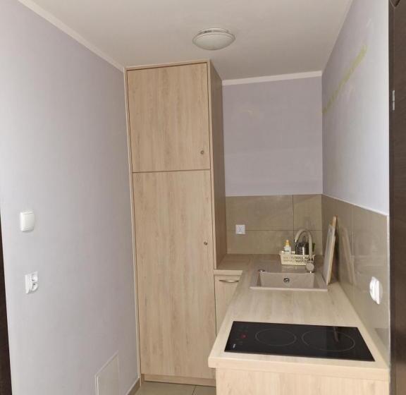 חדר לארבעה סטנדרטי עם מרפסת, Omega Jantar