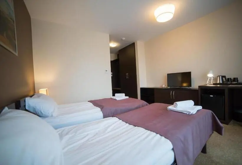 Standardzimmer, Avangarda