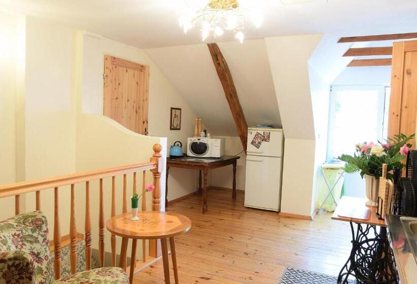 חדר סטודיו סטנדרד, Guest House Wiejska Sielanka