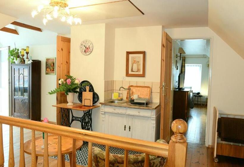 חדר סטודיו סטנדרד, Guest House Wiejska Sielanka