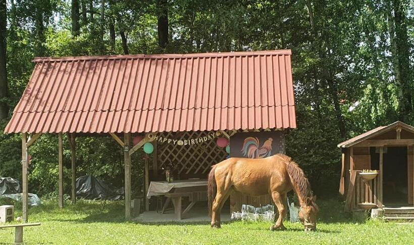 带1个卧室的公寓, Kurnik Polski Agroturystyka